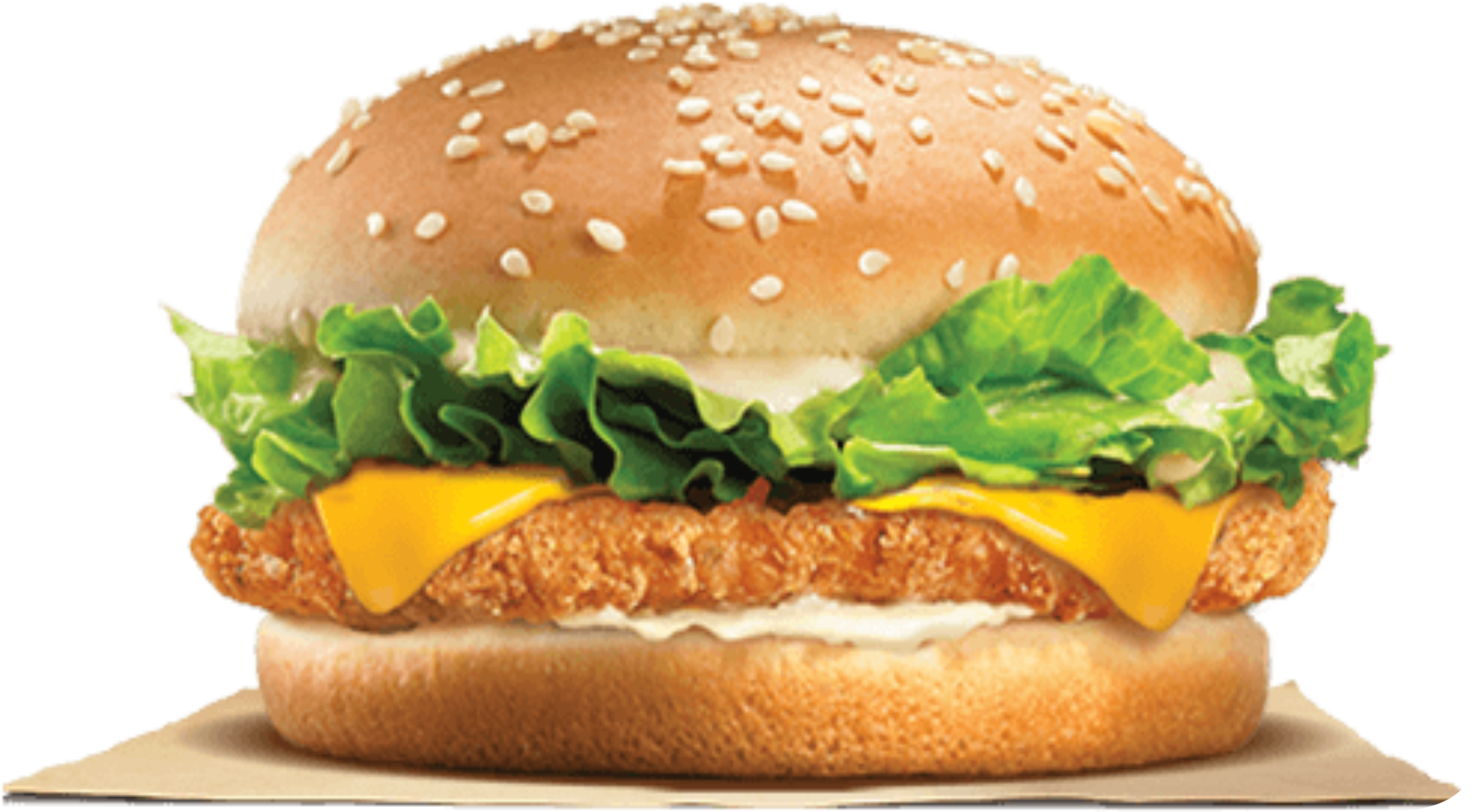 Special Chicken Burger